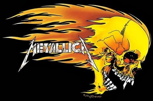 Metallica teschio - metallica:,