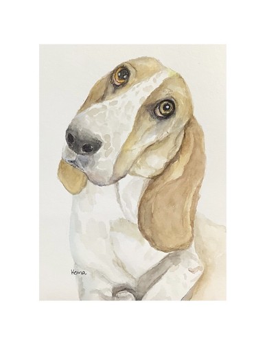 Beagle dog portrait original - dog,