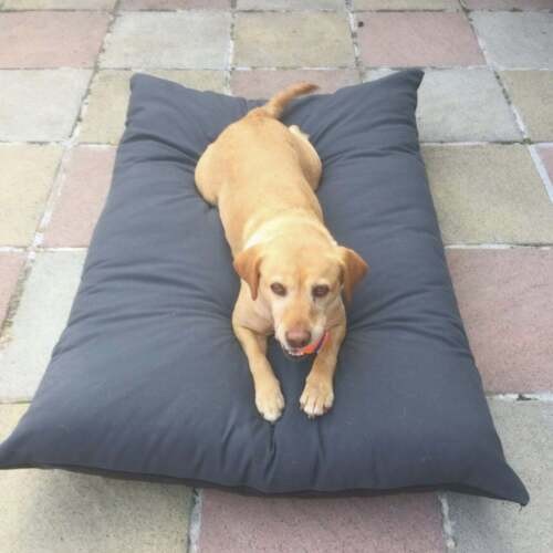 Animali cuscino letto cane - cuscino,
