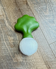 Cipolla ricambio giardino