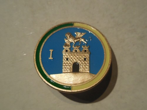 Distintivo reggimento - 1,