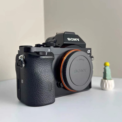 Fotocamera digitale mirrorless