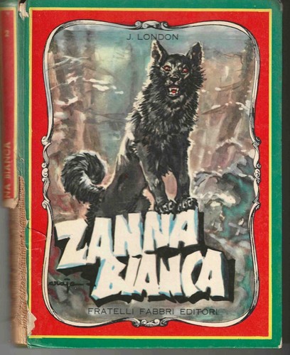 Splendido libro per ragazzi - libro,
