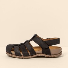 El Naturalista N5862 PLEASANT