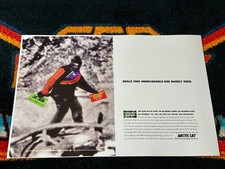 🏁 '97 GATTO ARTICO OFFERTE