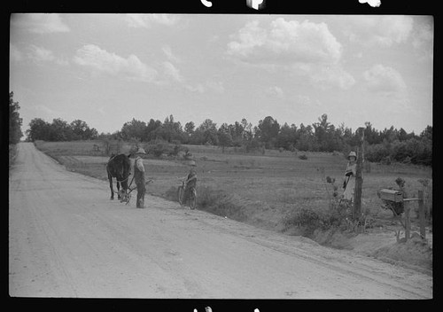 Foto carretto cavallo strada - foto:carretto,