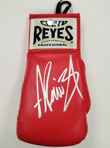 Guantone boxe firmato andy - guantone,