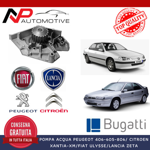 Pompa acqua peugeot - pompa,