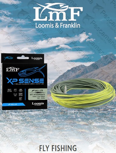 Coda topo lmf loomis - di,