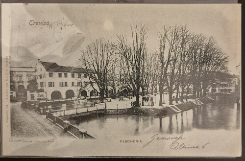 1900 treviso pescheria - -,