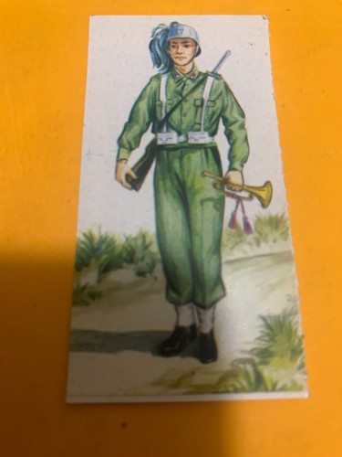 Fig 205 guerrieri antichi - guerrieri,