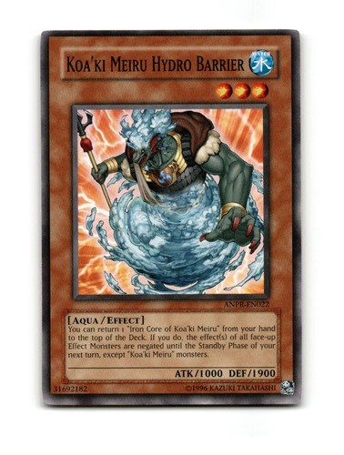 Koa meiru idro barriera - meiru,