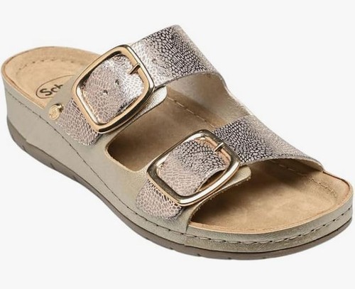 Scholl aberdeen memory - dr,