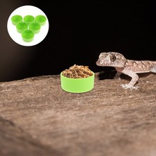  30 Pcs Ciotola Per Animali