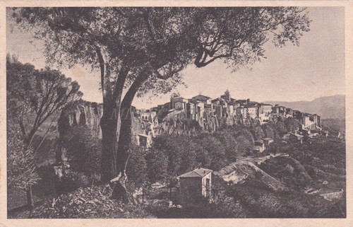 Orte panorama s a - orte, s.a.f.