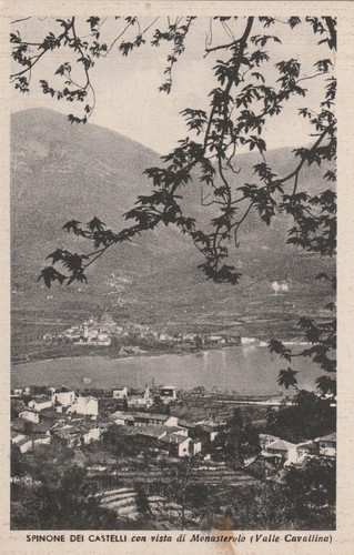 Spinone dei castelli - castelli, (bergamo)
