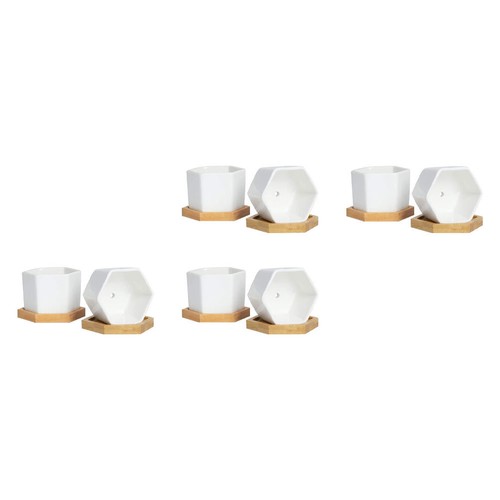 Set fiori secchi - 4,