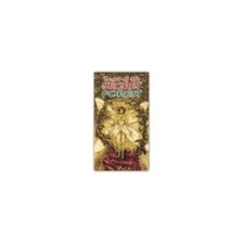 78 CARTE I TAROCCHI DEL BOSCO