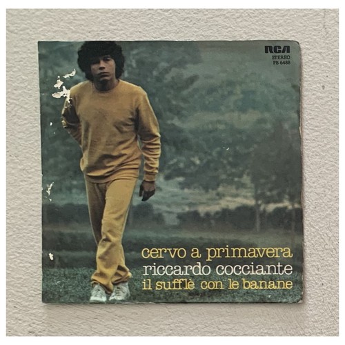 Riccardo cocciante vinile - cocciante,