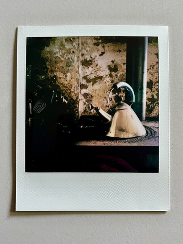 Polaroid natura morta - natura,