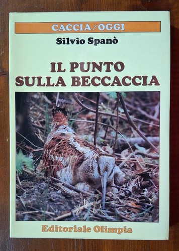 Silvio spano punto sulla - silvio, spano'