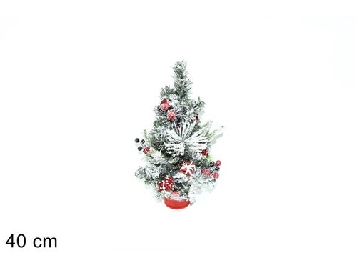 Albero pianta innevata - albero,