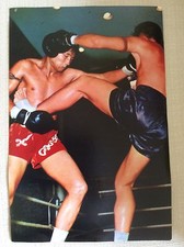MUAY THAI BOXE TAILANDESE THAI