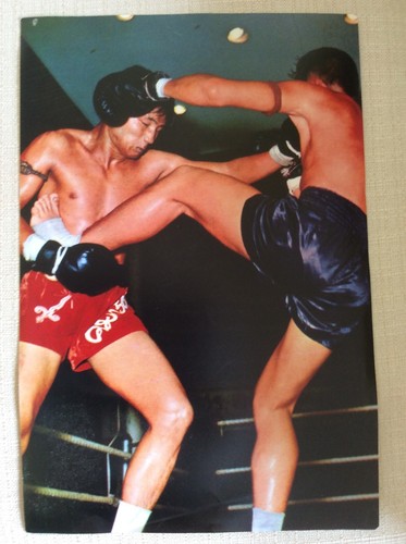 Muay thai boxe tailandese - muay,