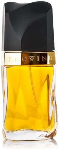 Estee lauder 2617 acqua - lauder,