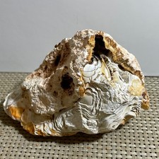 Bonsai Suiseki 768g - Pietra