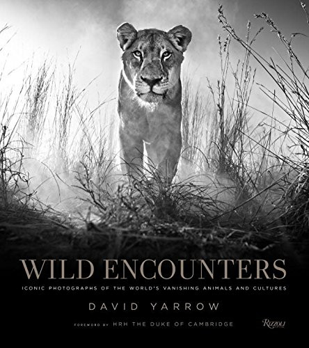 Wild encounters iconic - encounters:,