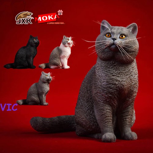 Statua gatto pelo corto - statua,