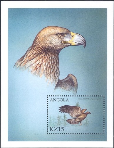 Angola 2000 golden eagle - angola, eagle/birds