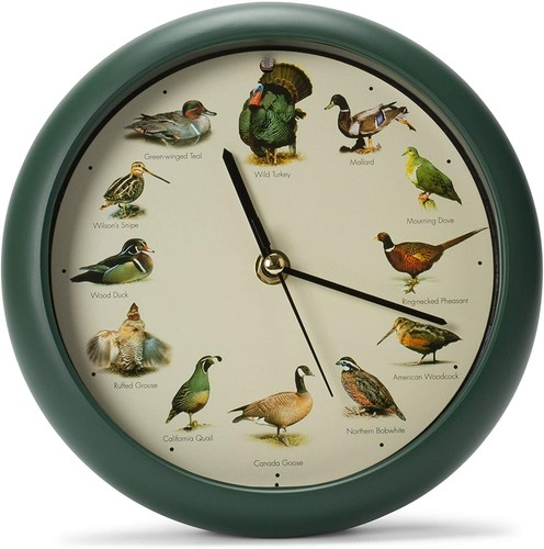 Singing wild game birds - singing,