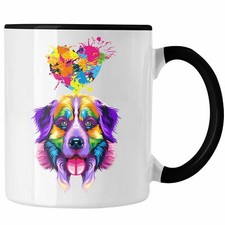 Trendation - Border Collie