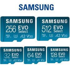 Scheda di memoria EVO Select