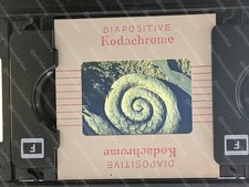 Vintage French Kodak