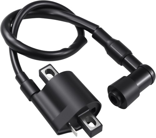 Ignition coil for - ignition,