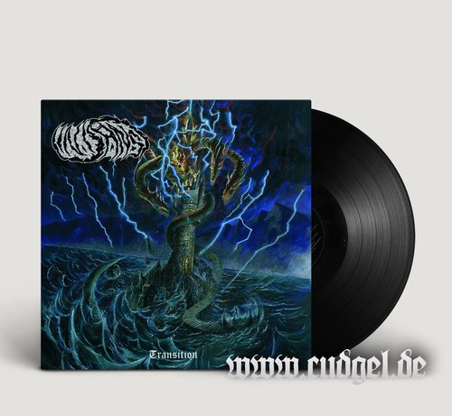 Inisans transition lp black - -,