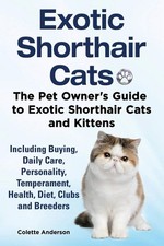 Exotic Shorthair Cats The Pet