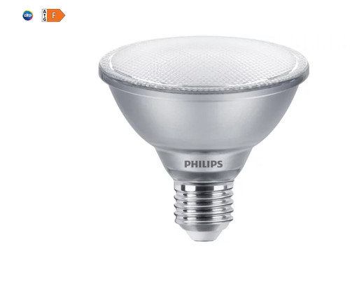 Lampadina led spot par30 - par30, 9.5w