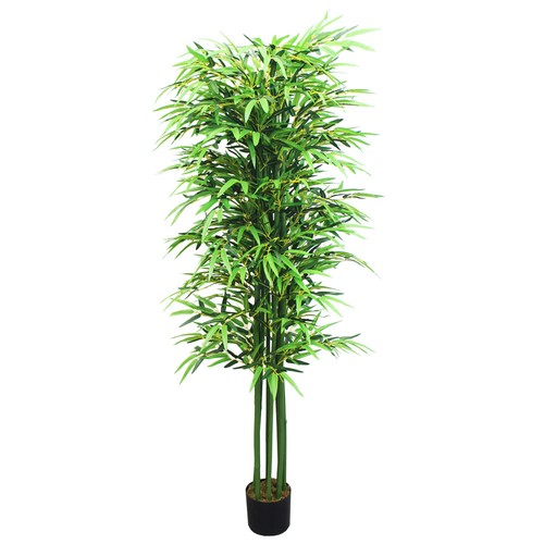 Pianta finta bambù - finta,