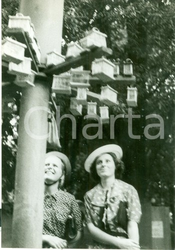1938 roma festa beneficenza - 1938,