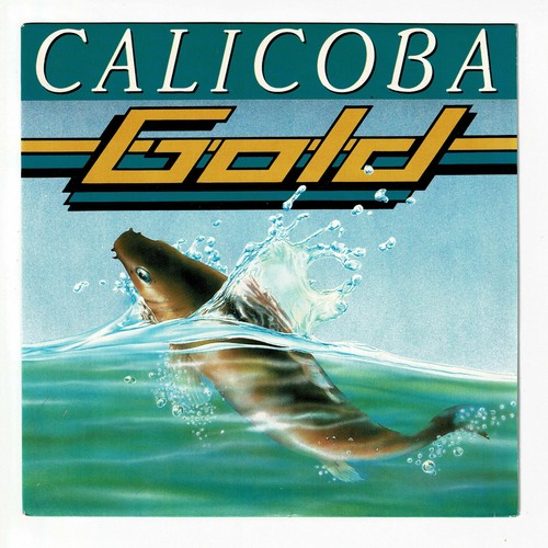 Gold disco vinile - disco, giri