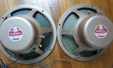 altoparlanti electrovoice 12