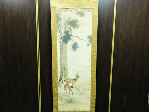 Y7066 kakejiku cervo - kakejiku, firmato