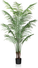 Piante Finte Interno Areca