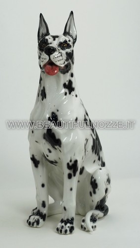 Cane alano arlecchino - cane,