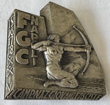 Distintivo fgc napoli - distintivo,