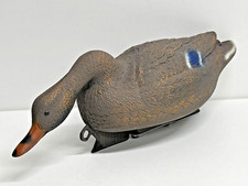 STAMPO GERMANO FEMMINA COLLO